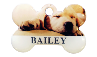 design your own pet tag
